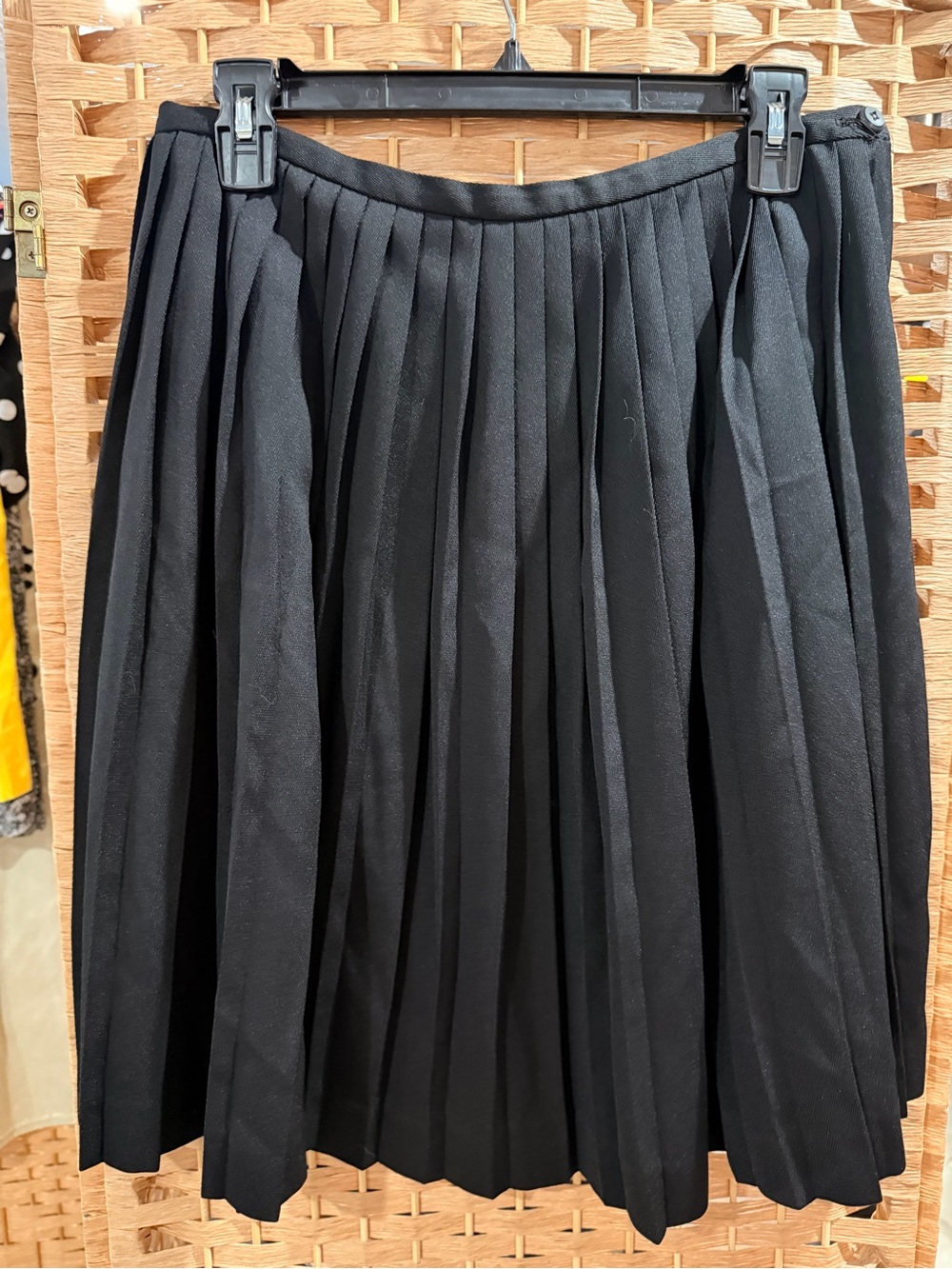 Michele Black Pleated A-Line Skirt